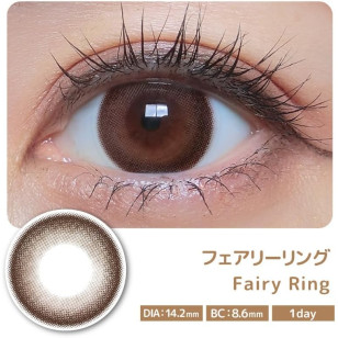 COLOR MAJORITY 1Day Fairy Ring カラーマジョリティー フェアリーリング